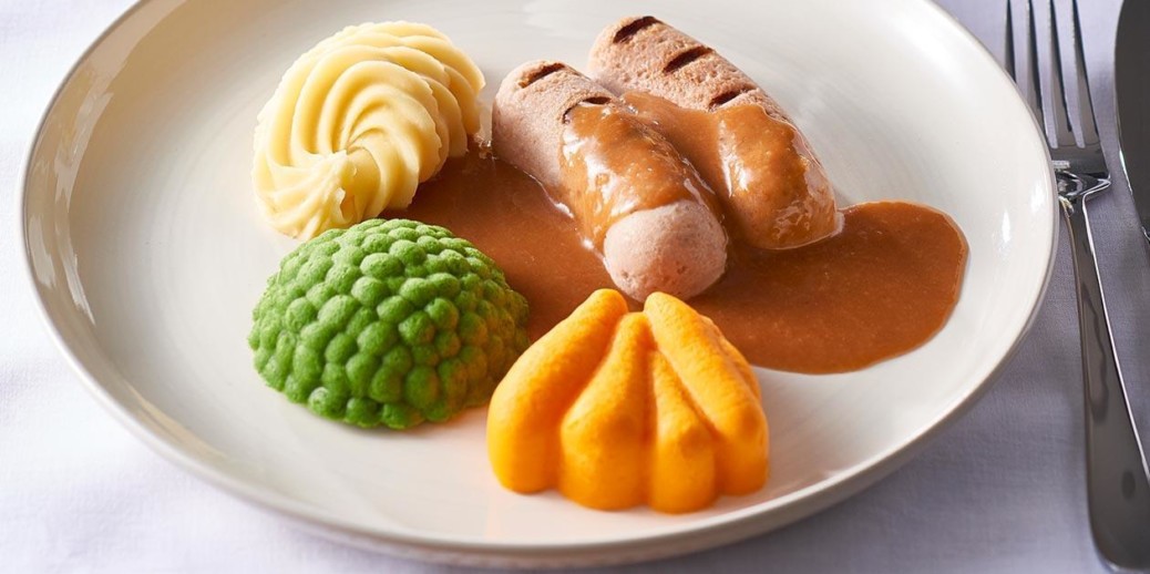 pureed meals for seniors